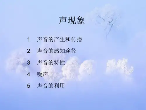 声现象PPT精品课件