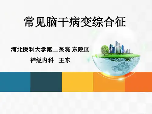 脑干病变综合征参考PPT