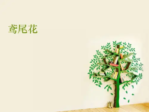 鸢尾花.