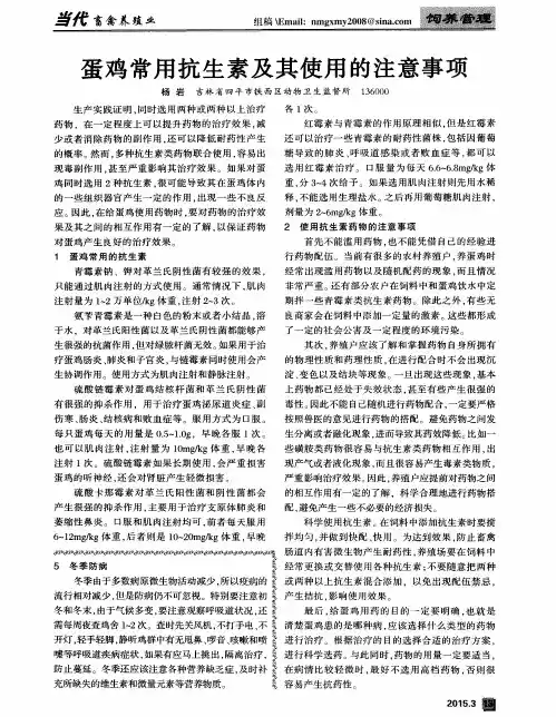 蛋鸡常用抗生素及其使用的注意事项