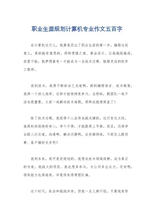 职业生涯规划计算机专业作文五百字