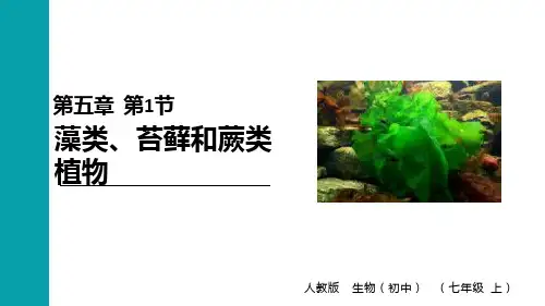 人教版七年级生物上册第三单元第一章《生物圈中有哪些绿色植物》课件