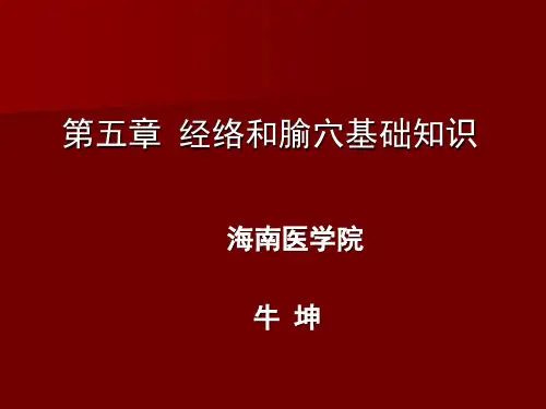 第五章 经络和腧穴基础知识
