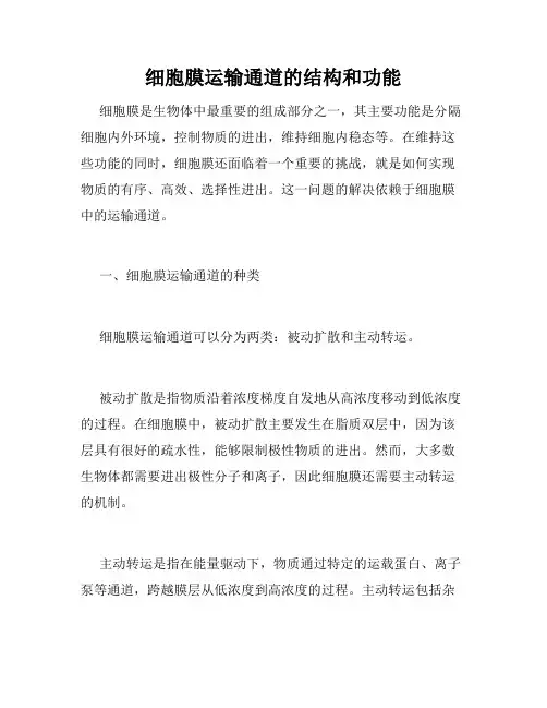 细胞膜运输通道的结构和功能
