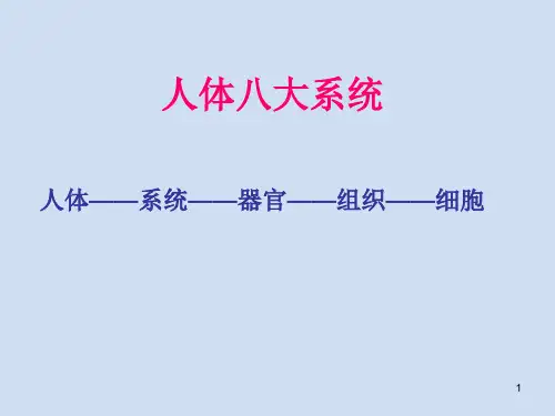 人体八大系统ppt课件