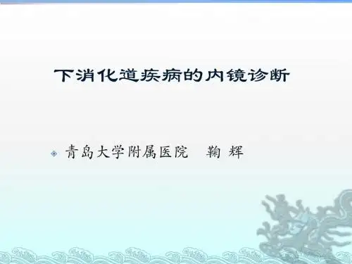 下消化道疾病诊断