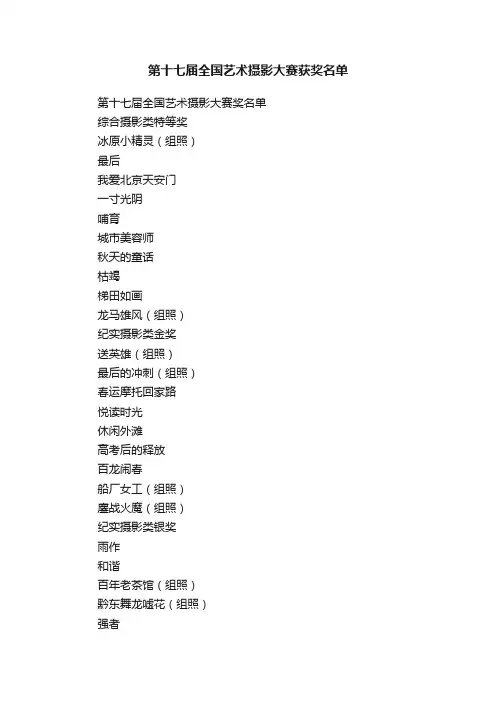 第十七届全国艺术摄影大赛获奖名单