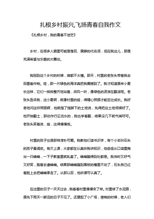 扎根乡村振兴,飞扬青春自我作文