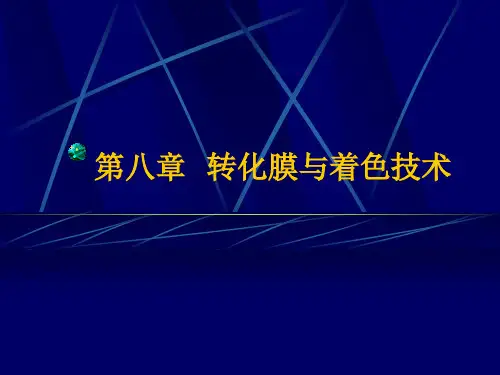 第八章  化学转化膜技术