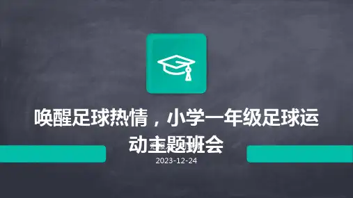 唤醒足球热情,小学一年级足球运动主题班会ppt