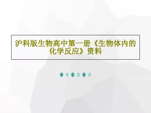 沪科版生物高中第一册《生物体内的化学反应》资料PPT文档共20页
