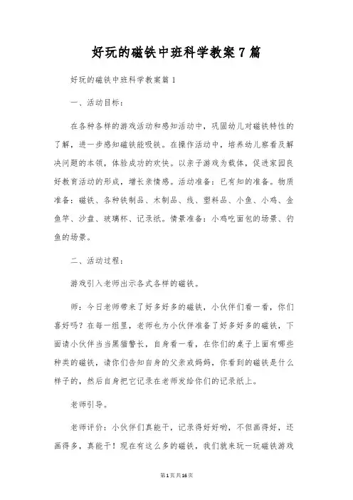 好玩的磁铁中班科学教案7篇