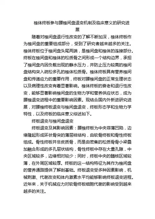 椎体终板参与腰椎间盘退变机制及临床意义的研究进展