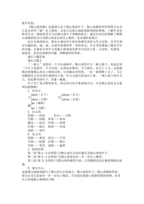 6、爬山虎的脚