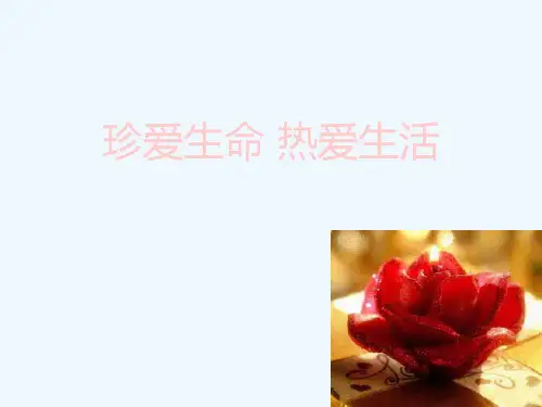 珍爱生命热爱生活课件