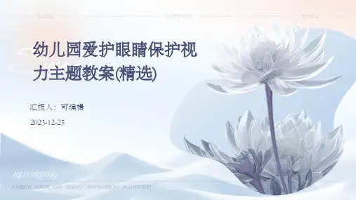 幼儿园爱护眼睛保护视力主题教案(精选)ppt (2)
