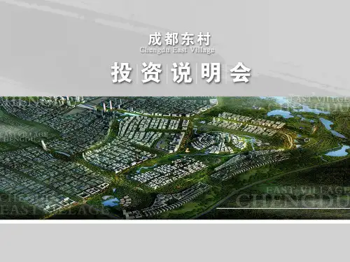 成都东村投资说明会最终版本.pptx