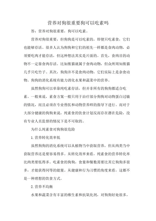 营养对狗很重要 狗可以吃素吗