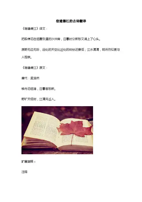 宿建德江的古诗翻译