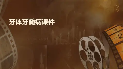 牙体牙髓病课件