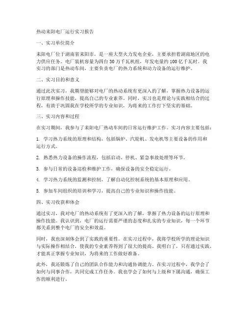 热动耒阳电厂运行实习报告