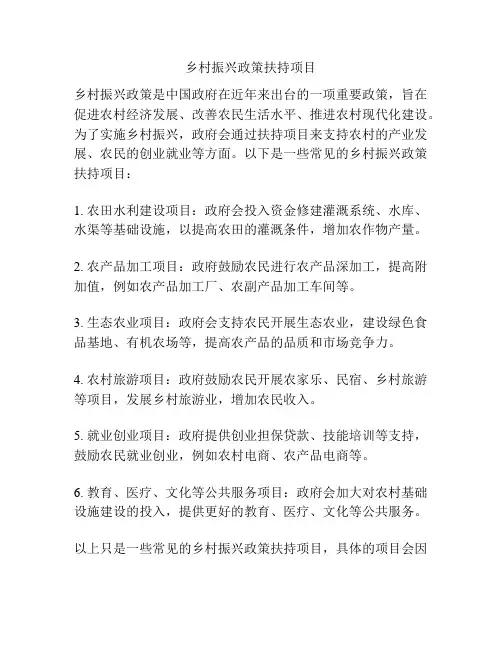 乡村振兴政策扶持项目
