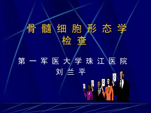 骨髓细胞形态学检查