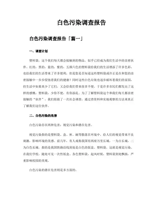 白色污染调查报告