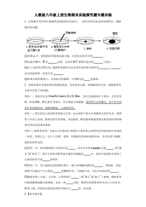 人教版八年级上册生物期末实验探究题专题训练