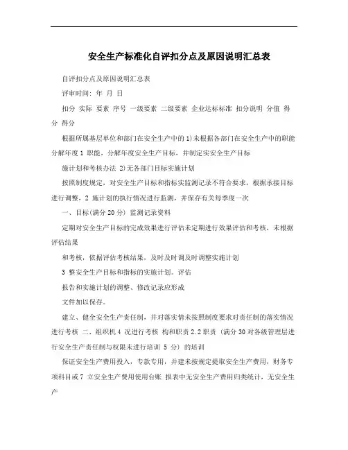 安全生产标准化自评扣分点及原因说明汇总表