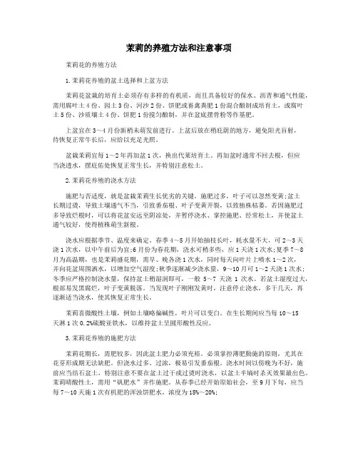 茉莉的养殖方法和注意事项
