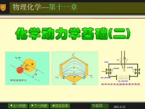 物理化学课件第11章_化学动力学基础(2)