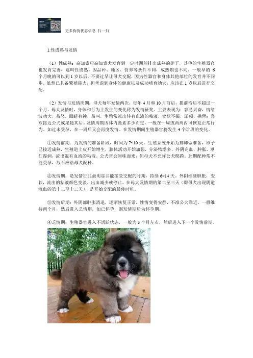 高加索犬发情后如何在非凡国际交配处理