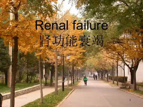 Renal failure肾功能衰竭