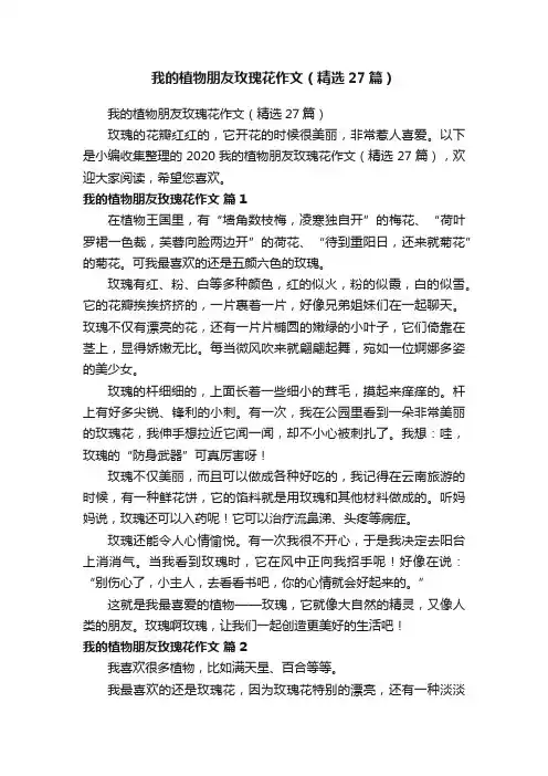 我的植物朋友玫瑰花作文（精选27篇）