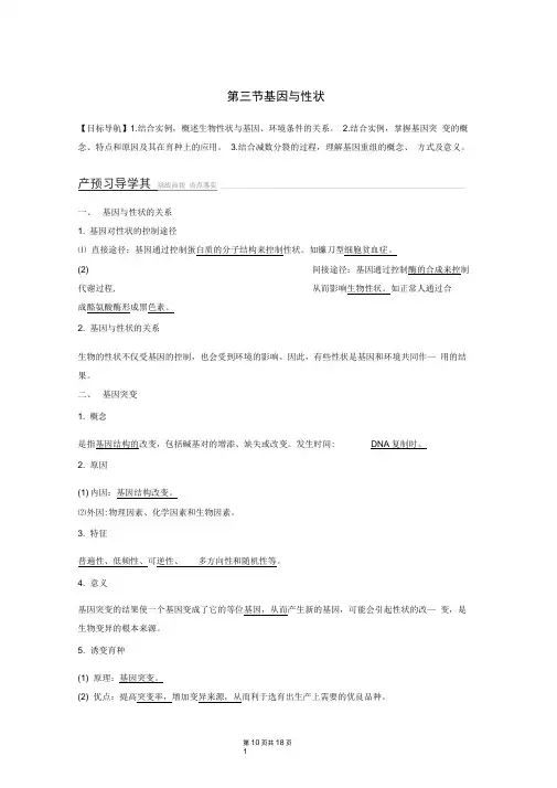 2019-2020版高中生物3.2.3基因与性状学案中图版必修2