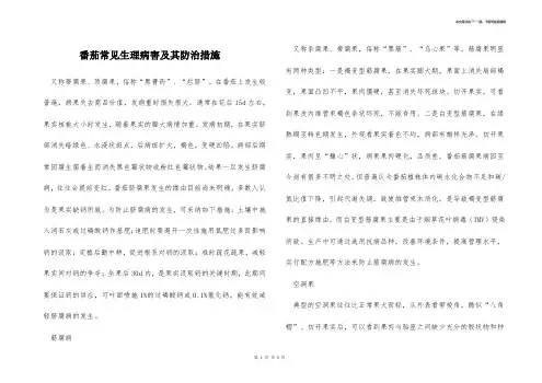 番茄常见生理病害及其防治措施 