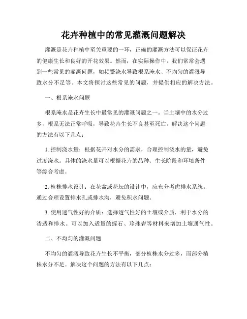 花卉种植中的常见灌溉问题解决