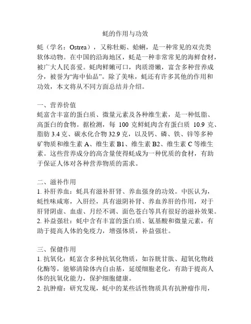 蚝的作用与功效