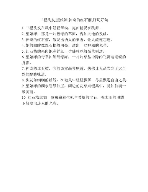 三根头发,望娘滩,神奇的红石榴,好词好句
