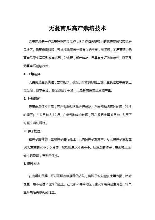 无蔓南瓜高产栽培技术