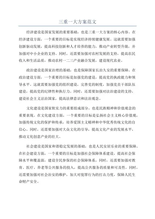 三重一大方案范文