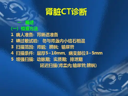 CT诊断学肾脏CTPPT课件