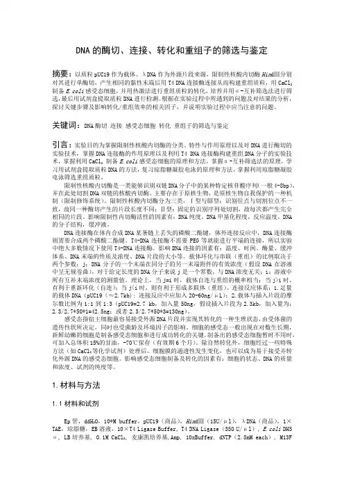 DNA的酶切、连接、转化和重组子的筛选与鉴定