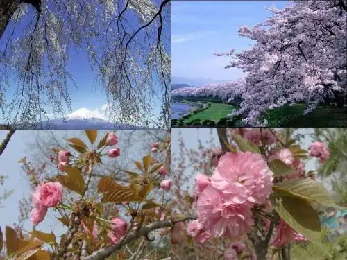 第一节日本