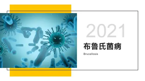 布鲁氏菌病