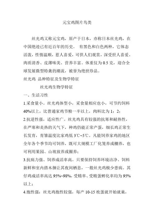 元宝鸡图片鸟类
