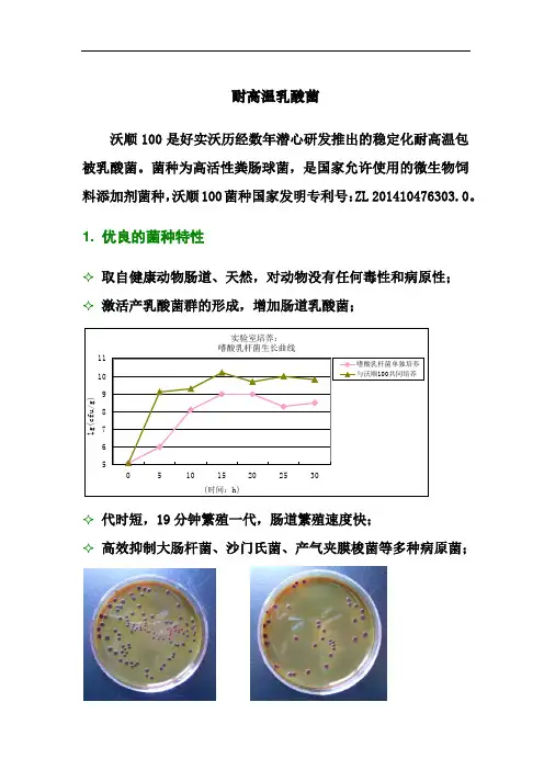 耐高温乳酸菌