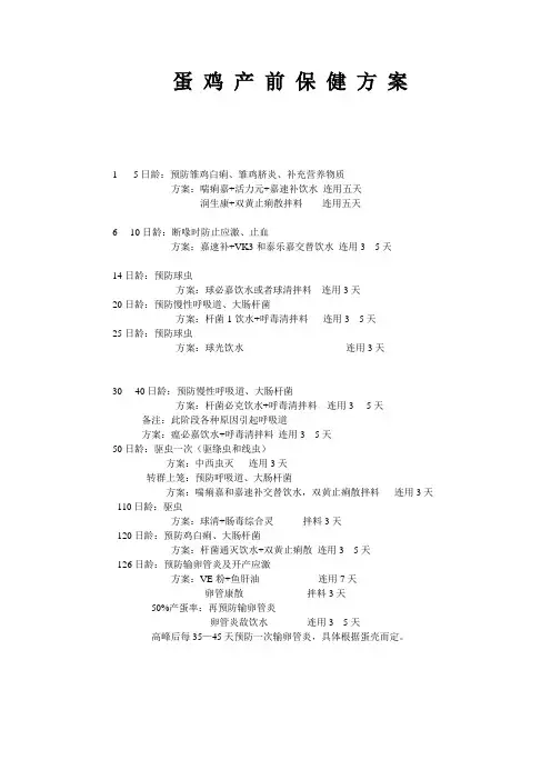 蛋 鸡 产 前 保 健 方 案
