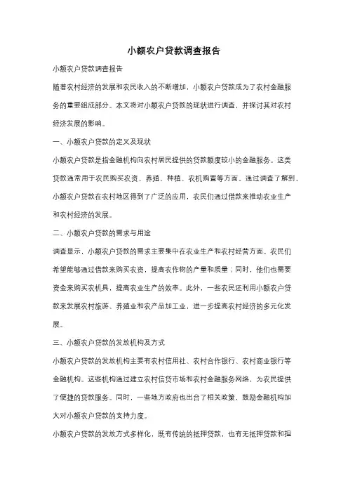 小额农户贷款调查报告
